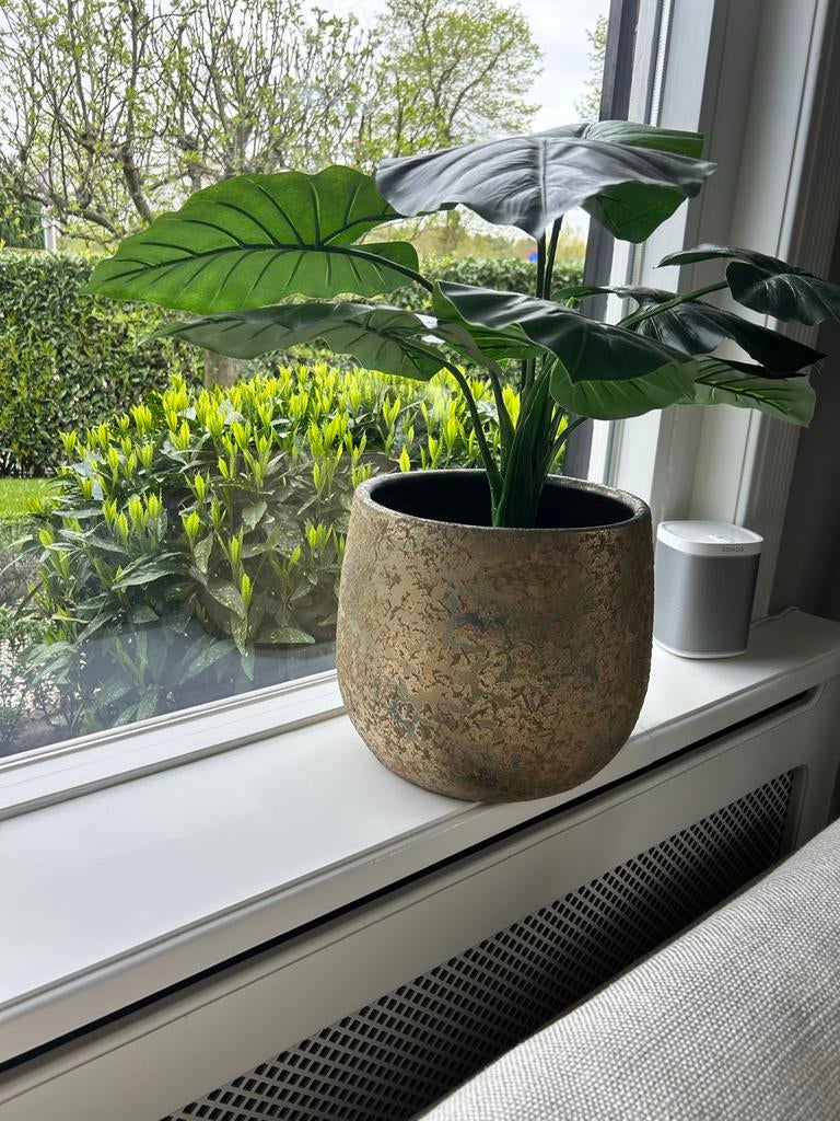 Realistische Kunstplant in Goudkleurige Pot, Huis en Inrichting, Ophalen, Binnen, Groen, Onderhoudsvrij