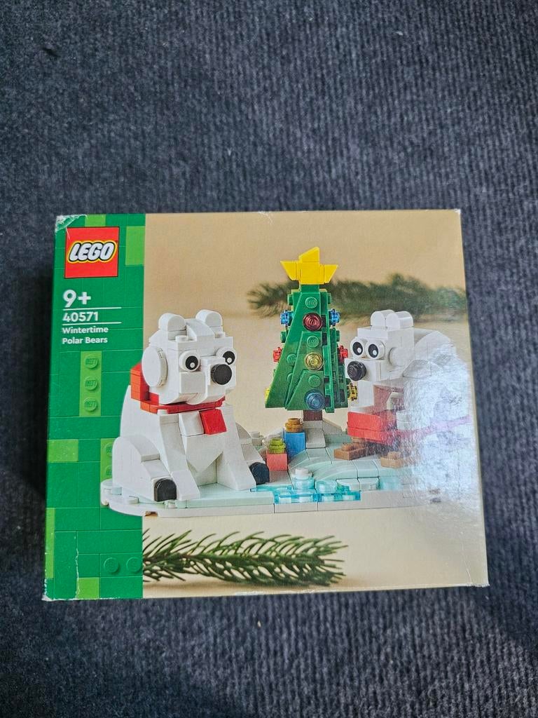 Lego 40571 Wintertijd IJsberen - Nieuw in doos, Ophalen of Verzenden, Nieuw, Complete set, Lego