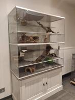 Grote chinchilla kooi zonder tralies 120x50x120, Kooi, 110 cm of meer, Nieuw, Ophalen of Verzenden