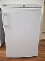 Liebherr vriezer, Ophalen of Verzenden, Gebruikt, Minder dan 60 cm, 85 tot 120 cm