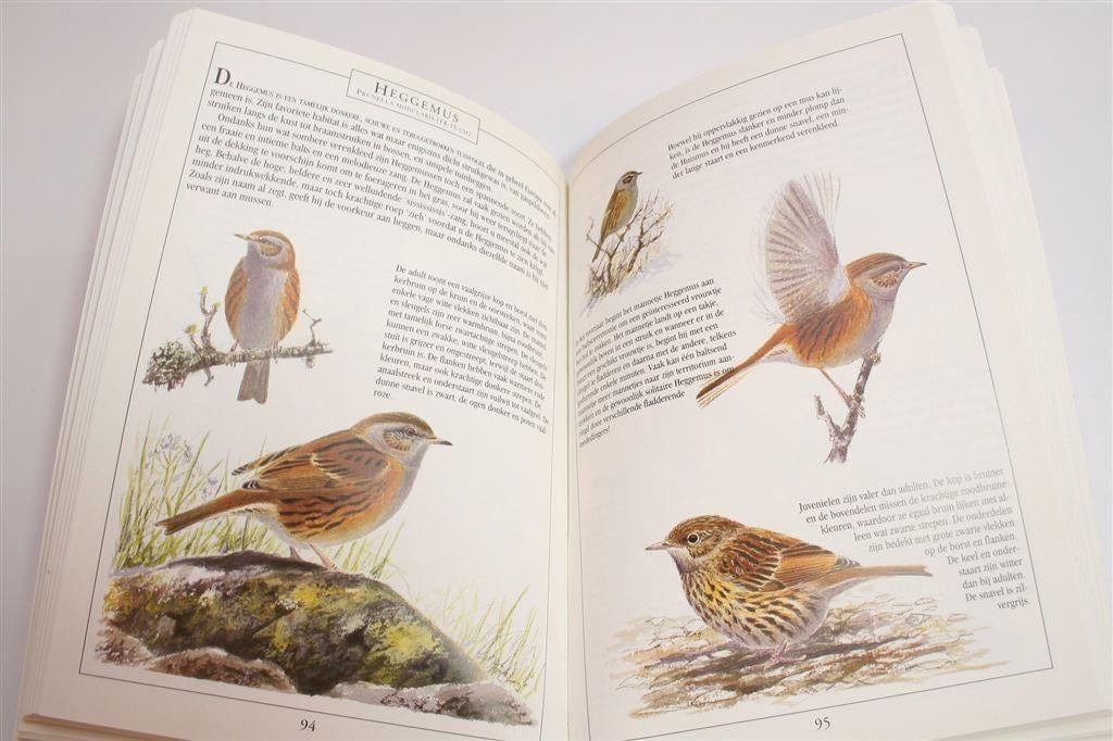 Vogels in Tuinen en Parken — Gids voor Waarnemen & Herkennen, Boeken, Ophalen of Verzenden, Gelezen, Vogels