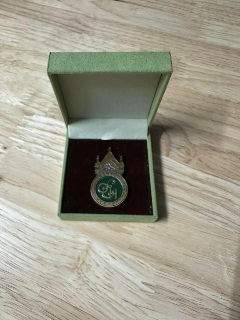 Efteling pin hotel, Verzamelen, Ophalen of Verzenden, Zo goed als nieuw, Button of Speldje