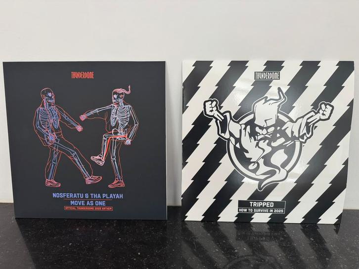 2 x Thunderdome Vinyl, Cd's en Dvd's, Vinyl | Dance en House, Zo goed als nieuw, 12 inch, Verzenden