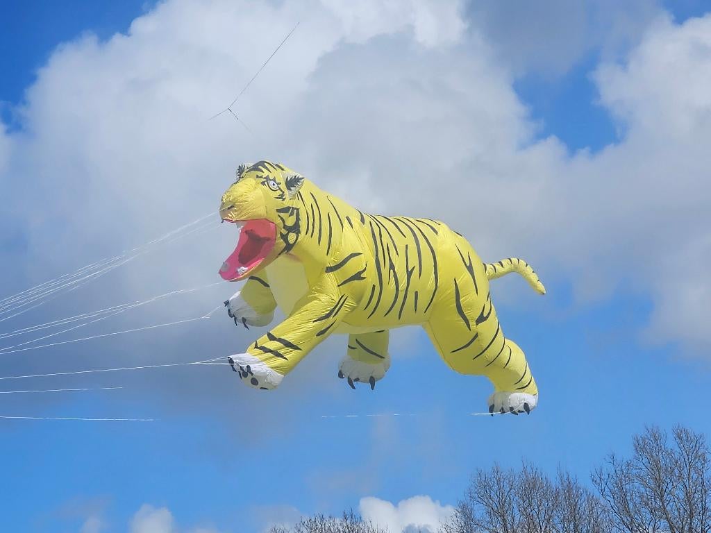 verschillende vliegers 2, W, Ophalen of Verzenden, Zo goed als nieuw, W