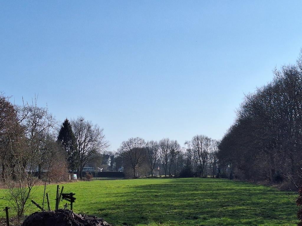 Weiland te huur Tynaarlo (+- 6000 m2), Dieren en Toebehoren, Weidegang