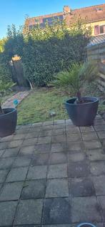 Tuin hulp gezocht, Ophalen of Verzenden