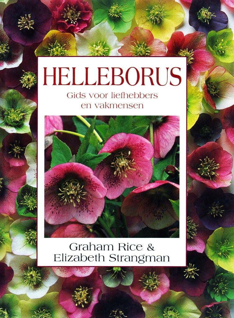 Helleborus - Graham Rice & Elizabeth Strangman 9789060974568, Ophalen of Verzenden, Zo goed als nieuw, Graham Rice, Tuinieren en Tuinplanten