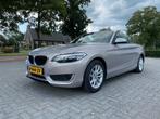BMW 2-Serie 2.0 220I 135KW Cabrio 2015 Grijs, Auto's, BMW, 183 pk, 4 cilinders, Cabriolet, 4 stoelen