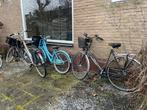 Diverse gebruikte fietsen te koop, Versnellingen, Ophalen, Overige merken, 53 tot 56 cm
