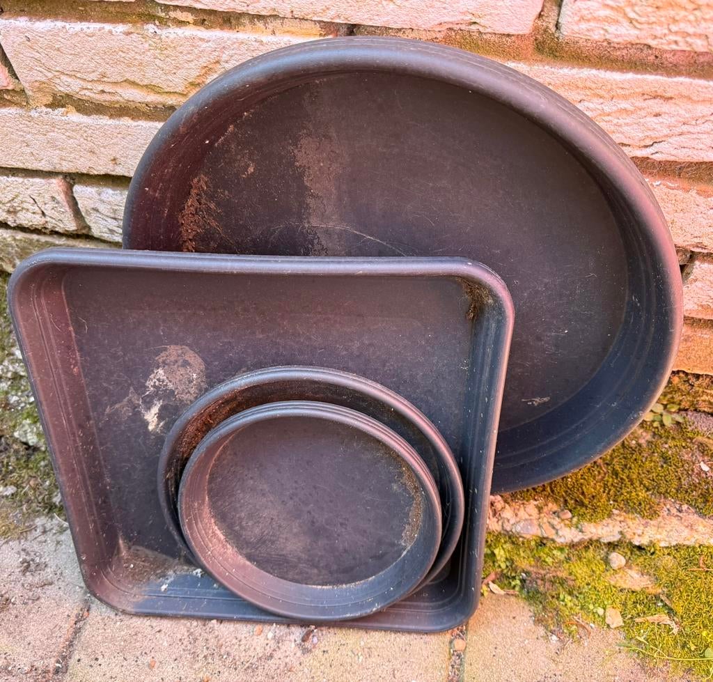 Gratis plant schotels, Ophalen, Zo goed als nieuw, Rond, Minder dan 30 cm