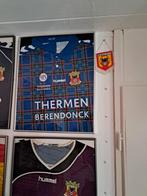 Go ahead eagels shirts, Ophalen of Verzenden, Gebruikt, Overige binnenlandse clubs, Shirt