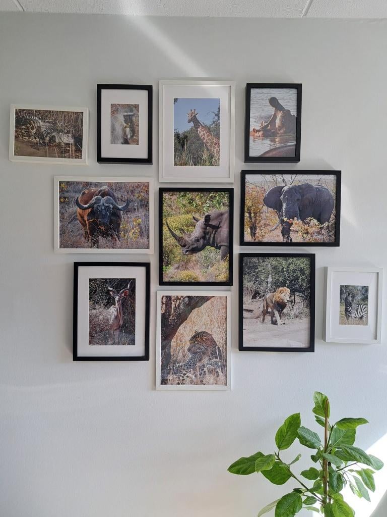 11 fotolijsten van IKEA A4 en A5 formaat, Ophalen, Minder dan 50 cm, Zo goed als nieuw, Minder dan 50 cm