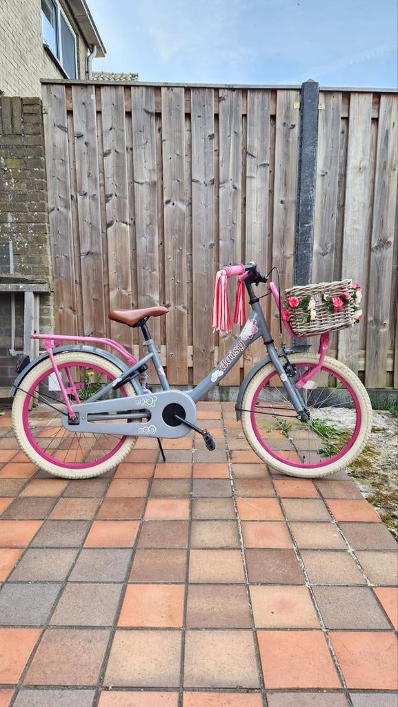 Meisjesfiets Daisy 20 inch, Fietsen en Brommers, Fietsen | Meisjes, Ophalen, Gebruikt, Handrem, Daisy