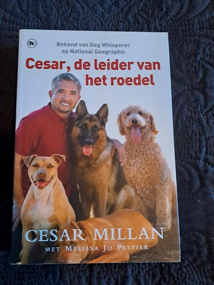 Cesar Millan - Cesar, de leider van het roedel (Hondenboek), Boeken, Dieren en Huisdieren, Gelezen, Honden, Ophalen of Verzenden