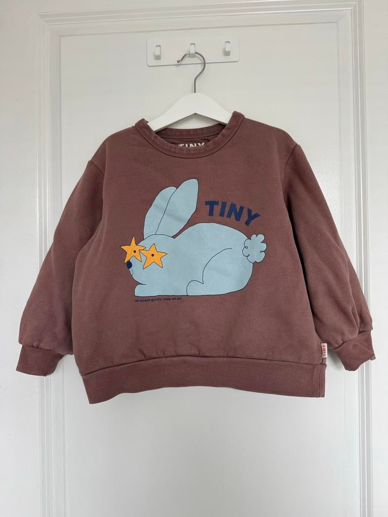 Tinycottons sweatshirt met konijn, Kinderen en Baby's, Kinderkleding | Maat 116, Ophalen of Verzenden, Gebruikt, Jongen of Meisje