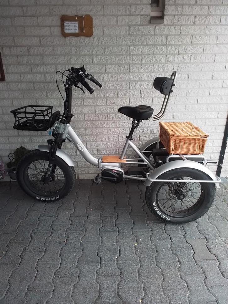 Electrische driewielfiets, Fietsen en Brommers, Fietsen | Driewielfietsen, Ophalen