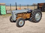 Leuke tour tractor, originele MF Goudbuik uit 1957., Ophalen of Verzenden, Oldtimer, Tot 80 Pk, Tot 2500