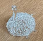 Mondgeblazen glazen schildpad, Ophalen of Verzenden