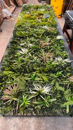 Kunstmuur met kunstplanten 4x 100x100cm Modulair, Ophalen, Volle zon, Vaste plant, Bloeit niet