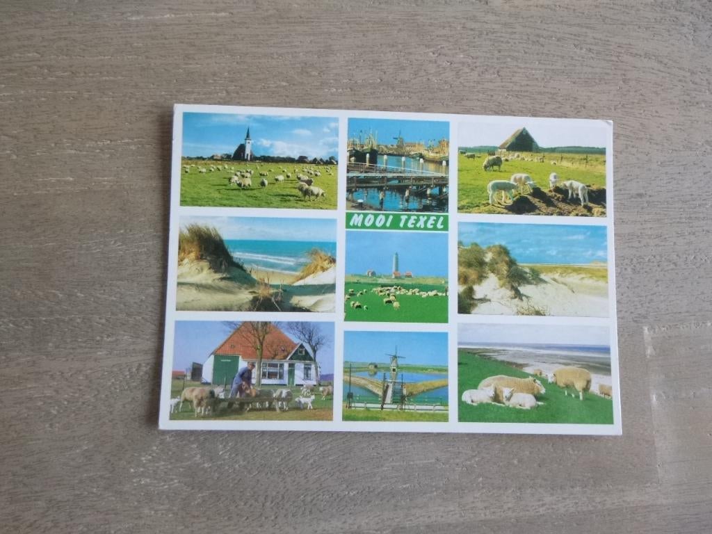 mooi Texel, panorama/schapen, Verzenden, 1980 tot heden, Gelopen, Waddeneilanden