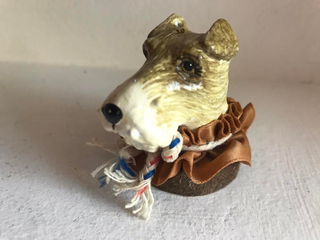 Kop terrier, Ophalen of Verzenden, Gebruikt, Dier