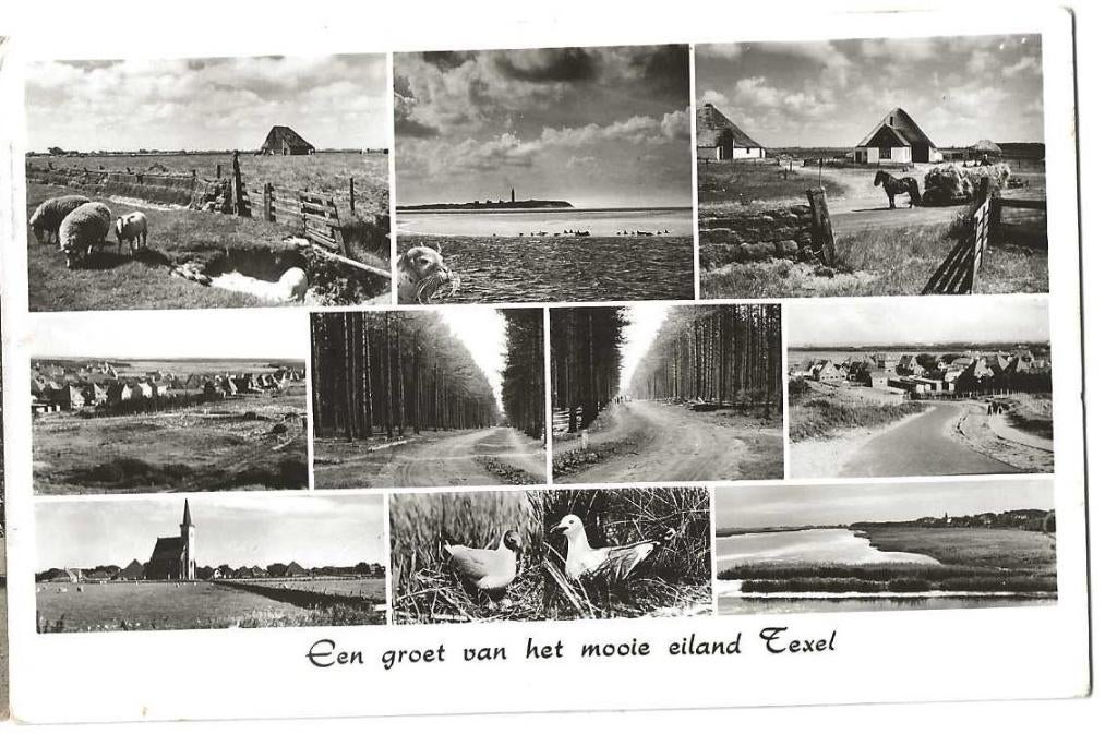Jt28-192  Texel, Verzenden, 1960 tot 1980, Gelopen, Waddeneilanden