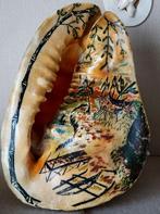 schelp hoog 25 cm br 17 cm, Verzamelen, Ophalen, Schelp(en)