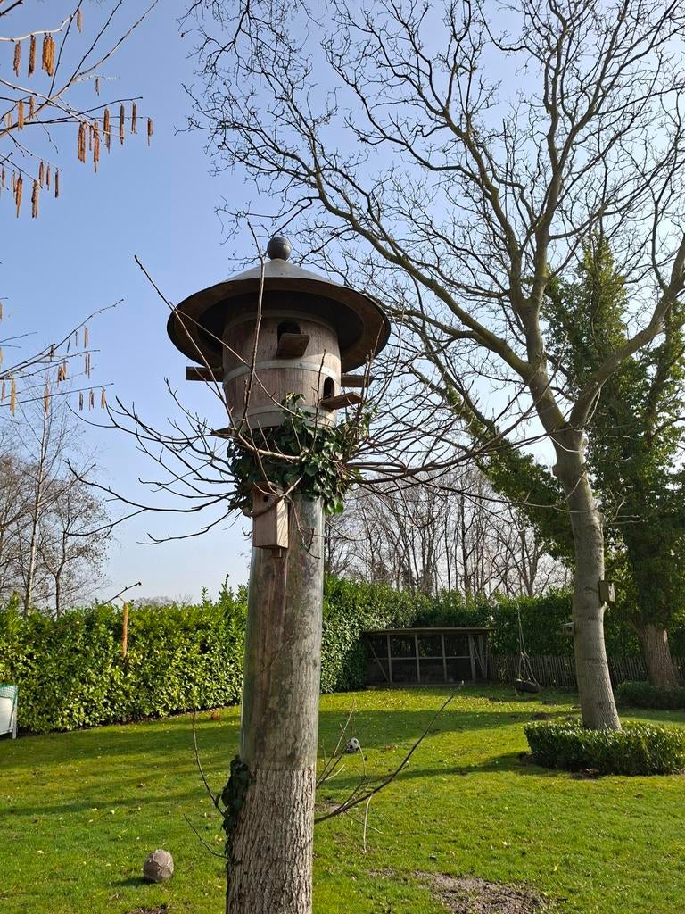 Handgemaakte duiventil van wijnvat - met of zonder boomstam, Ophalen, Gebruikt, Hout, Overige typen