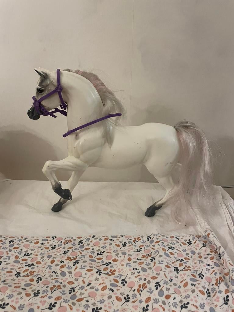 mooi paard voor de Barbie poppen, Ophalen of Verzenden, Zo goed als nieuw, Barbie