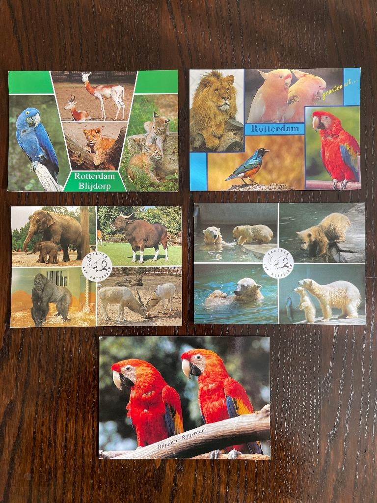 Diergaarde Blijdorp Ansichtkaart 8 Stuks, Ophalen of Verzenden, 1980 tot heden, Ongelopen, Zuid-Holland