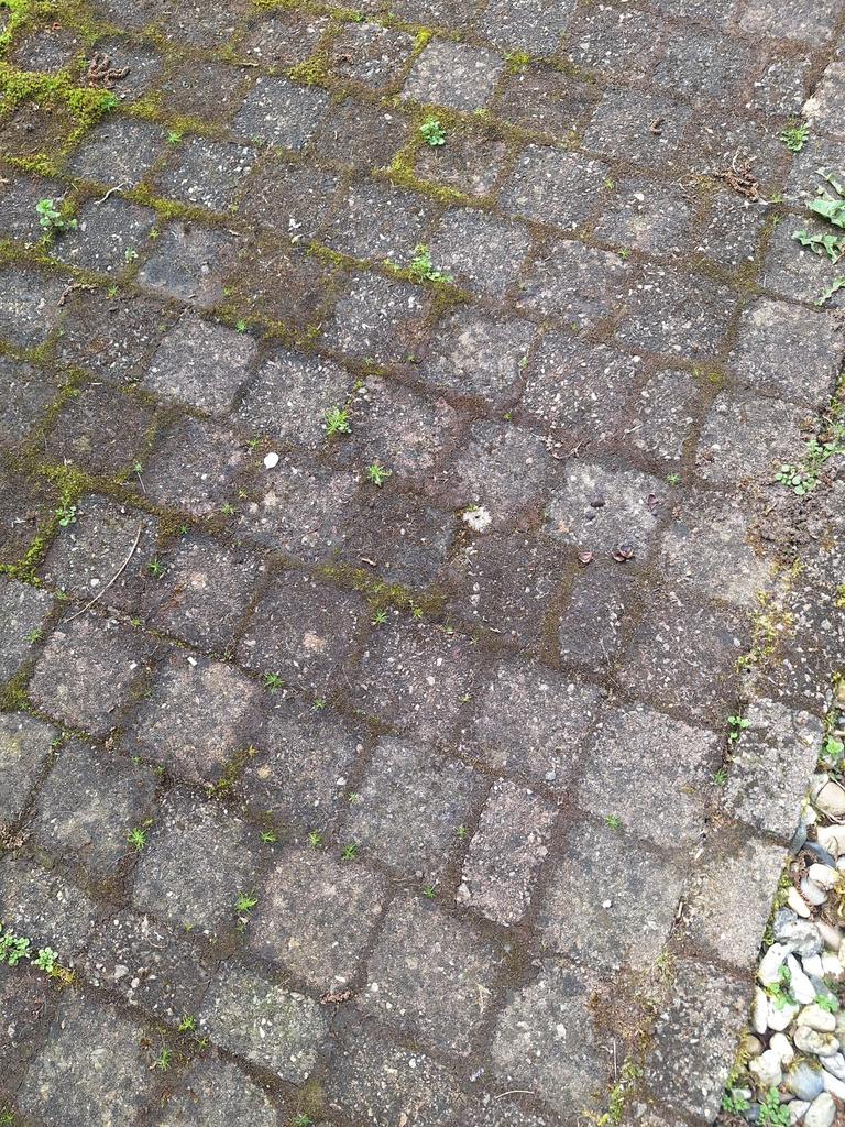 Gratis af te halen, zelf eruit halen., Tuin en Terras, Tegels en Klinkers, Ophalen, Gebruikt, Beton, Klinkers