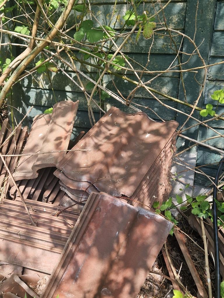 Gratis dakpannen rood, Ophalen, Gebruikt, Steen of Klei, 15 m² of meer