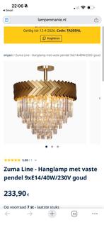 Hanglamp, Huis en Inrichting, Ophalen of Verzenden, Zo goed als nieuw