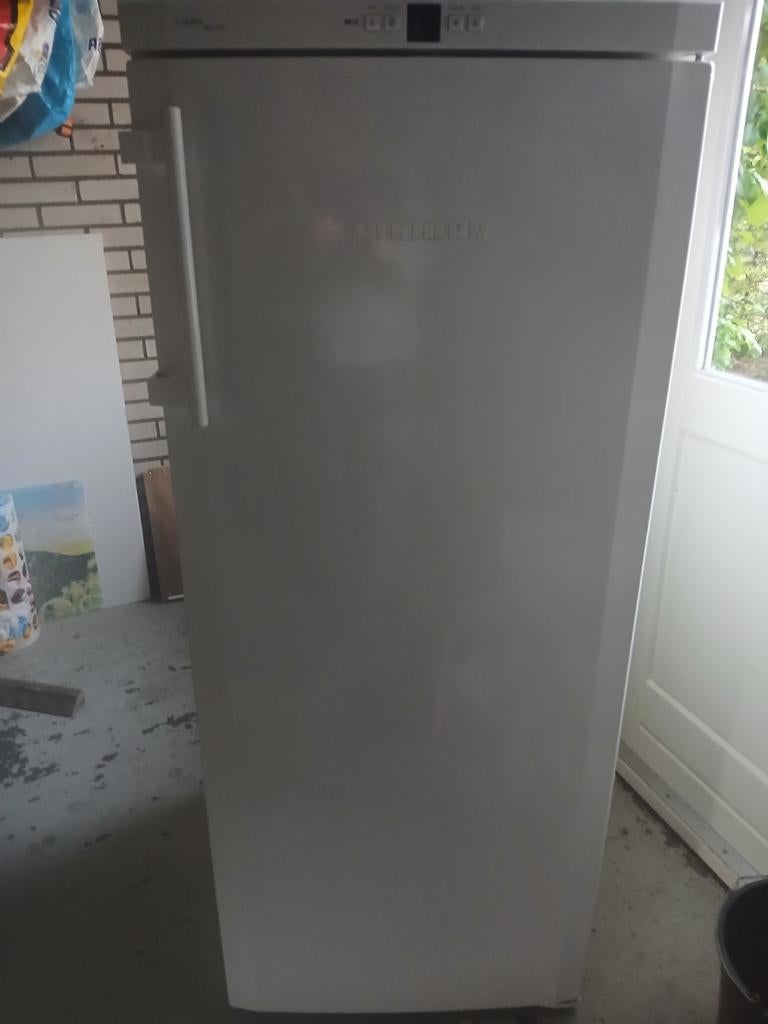 Liebherr vriezer te koop, Witgoed en Apparatuur, Vriezers en Diepvrieskisten, Ophalen of Verzenden, Gebruikt, Minder dan 60 cm