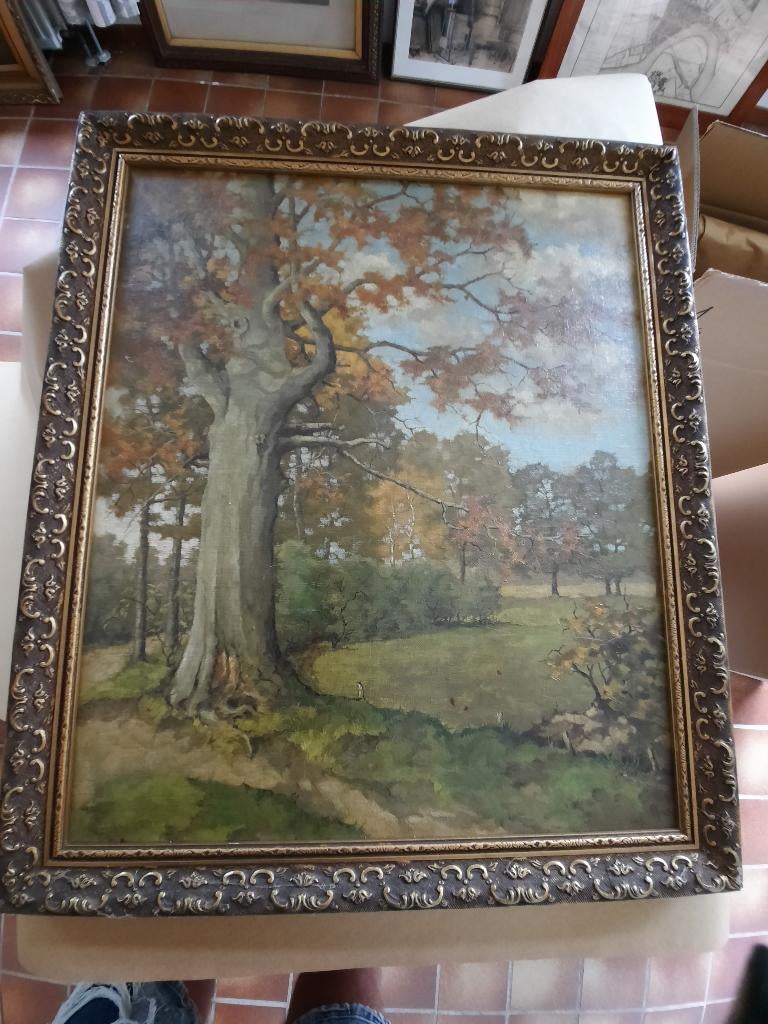 Olieschilderij bosdecor kkHols, Ophalen