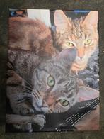 Schilderij 2 katten - Canvas 40x30cm - Lichte schade, Ophalen of Verzenden