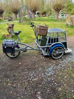 Van Raam rolstoelfiets met trapondersteuning, Ophalen, Gebruikt, Overige typen, 80 kg of meer