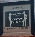 43 GLAZEN DIA'S , JAREN 1930-1940. THEMA: SEX ALS OPVOEDING, Verzenden