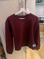 Calvin Klein trui, Maat 46/48 (XL) of groter, Ophalen of Verzenden, Zo goed als nieuw, Calvin Klein