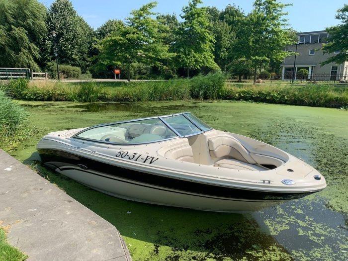 Searay V6 Diesel Duo prop project, Watersport en Boten, Speedboten, Gebruikt, 6 meter of meer, Diesel, 200 pk of meer, Polyester
