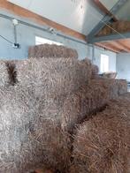 Hooi en strobalen, Dieren en Toebehoren, Ophalen, Vee