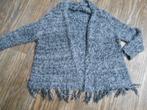 SOPHYLINE&CO grijs warm vest maat L/XL, Ophalen of Verzenden, Zo goed als nieuw, Maat 46/48 (XL) of groter, Grijs