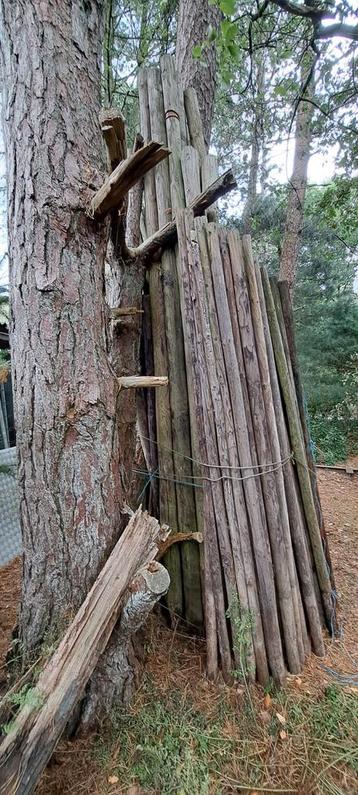 Houten palen, 17 stuks, 3-3.5m, 8-9cm diameter beschikbaar voor biedingen