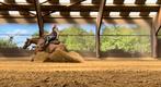 Knappe 7 jarige Quarterhorse Ruin
