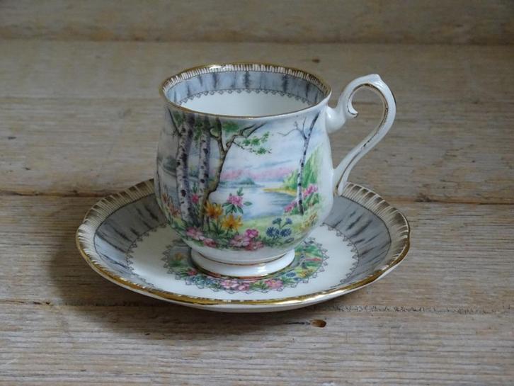 1x Kop-en-schotel, Royal Albert SILVER BIRCH, als nieuw, Antiek en Kunst, Antiek | Servies los, Ophalen of Verzenden