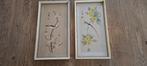 Twee vintage Aziatische zijdeschilderijen met vogels, Antiek en Kunst, Kunst | Niet-Westerse kunst, Ophalen of Verzenden