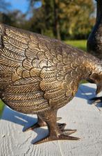 HAAN MET HEN / brons / tuinbeeld/ kippen, Dierenbeeld, Nieuw, Info@huisentuindecoratiemarie.nl, Huis en tuin decoratie marie
