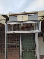 Aluminium spoetnik, Dieren en Toebehoren, Vogels | Duiven, Meerdere dieren, Postduif