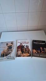 2 boeken Cesar Millan. 1 boek Franse Bulldog. I.z.g.st., Ophalen of Verzenden, Zo goed als nieuw, Honden, Cesar Millan