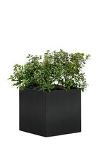 Bloembak Mohawk | Zwart Poedercoat Staal | 3 Maten, Tuin, Gebruikt, Minder dan 30 cm, Minder dan 60 cm